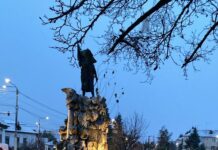 Prima ninsoare la Târgu Jiu!