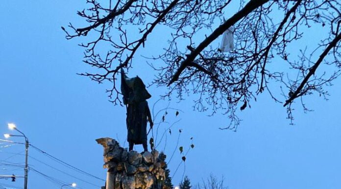 Prima ninsoare la Târgu Jiu!