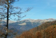 Repere hivernale – Drumeția de iarnă – O alternativă pentru cei ce vor să-și petreacă timpul în aer curat