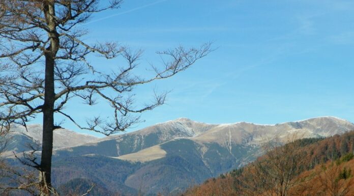 Repere hivernale – Drumeția de iarnă – O alternativă pentru cei ce vor să-și petreacă timpul în aer curat