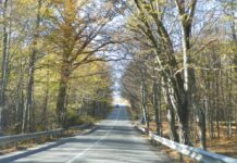 REPERE HIVERNALE – Călător pe cele două Bistrițe de pe teritoriul oltean