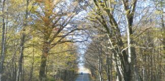 REPERE HIVERNALE – Călător pe cele două Bistrițe de pe teritoriul oltean
