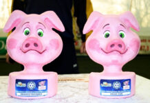 A început Cupa Porcului