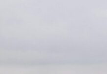 Accident cu patru victime la Plopșoru