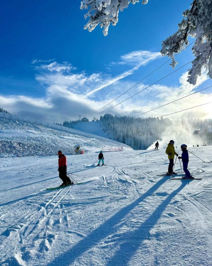 FB_IMG_1734248142175