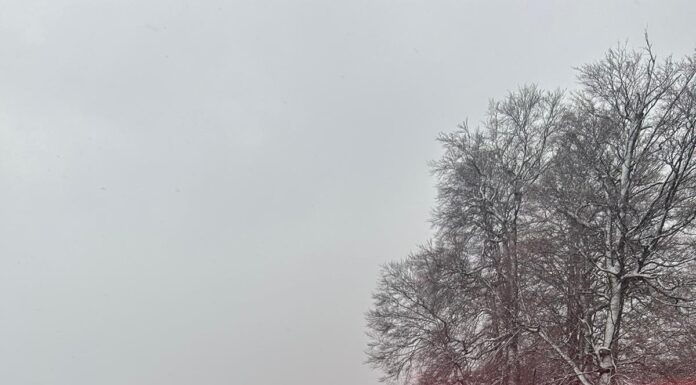 Șofer din Vâlcea, depistat băut la Rânca Politia ranca