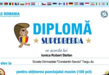 Doi elevi de la Școala „C. Săvoiu” Târgu Jiu, punctaj maxim la competiția Bebras România