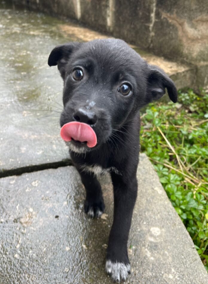 WhatsApp Image 2024-12-10 at 08.17.52