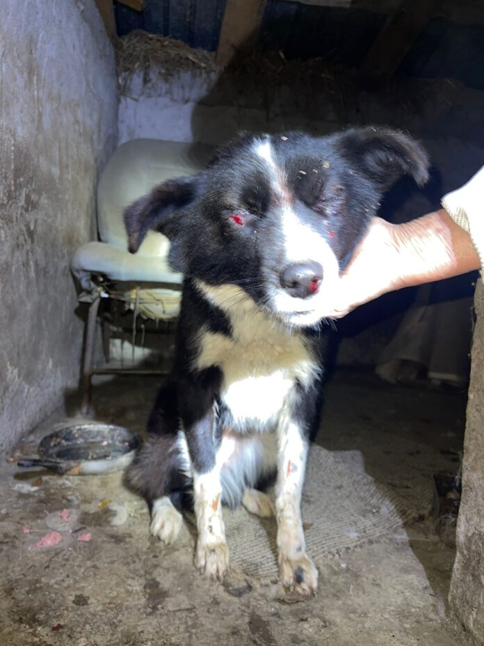 WhatsApp Image 2024-12-30 at 22.31.12 (3)