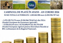 APIA a achitat fermierilor peste 1,08 miliarde de euro
