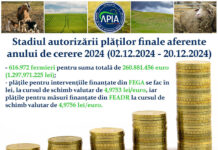 APIA: Stadiul autorizării plăților finale aferente anului de cerere 2024