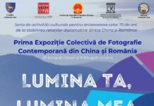 Artiști români și chinezi expun la Târgu Jiu