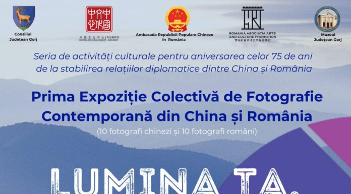 Artiști români și chinezi expun la Târgu Jiu