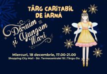 Târg caritabil de Crăciun, la mallul din Târgu Jiu