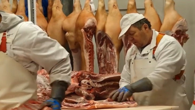 ANSVSA: Reguli stricte pentru sacrificarea porcilor și siguranța alimentelor de sărbători