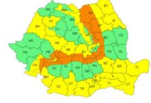 Cod portocaliu de viscol