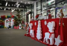 Mii de colindători aduc magia sărbătorilor la Primăria Târgu Jiu