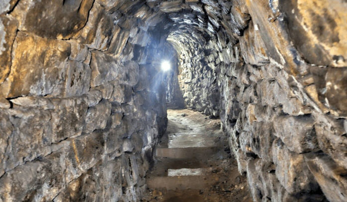 e9ff15d0-c637-48bf-8061-67a5b77bd50a