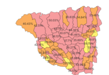 Gorj: 216 de candidați la alegerile parlamentare. Câștigătorii!