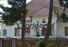 Motivul pentru care un șofer a condus fără permis la Peștera Muierii!