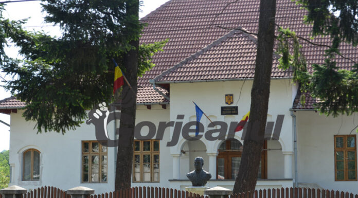 Motivul pentru care un șofer a condus fără permis la Peștera Muierii!