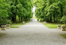 Parcul Central din Târgu Jiu va fi reabilitat