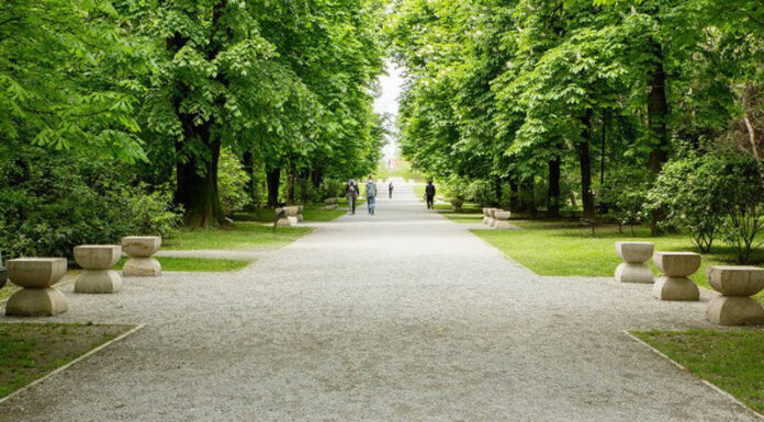 Parcul Central din Târgu Jiu va fi reabilitat
