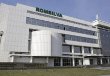 Romsilva a vândut populației 1,7 milioane mc de lemn de foc