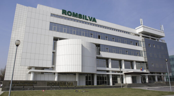 Romsilva a vândut populației 1,7 milioane mc de lemn de foc
