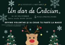 Un dar de Crăciun. Târg caritabil la CNET