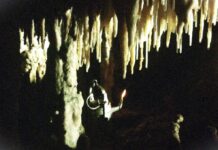 Repere ancestrale – Cutreierători prin Lumea lui Hades