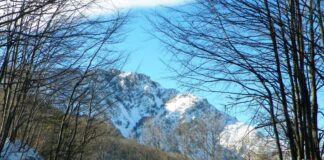 Repere hivernale – PAȘI ÎN LUMEA LUI IOVAN IORGOVAN