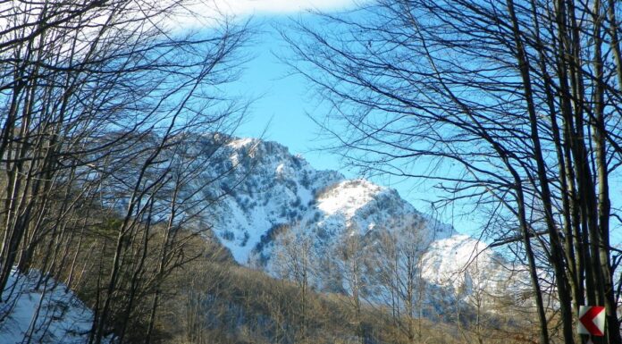 Repere hivernale – PAȘI ÎN LUMEA LUI IOVAN IORGOVAN