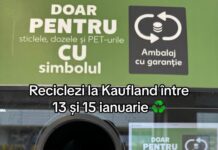 Cum obții 1 leu pentru ambalajele reciclate