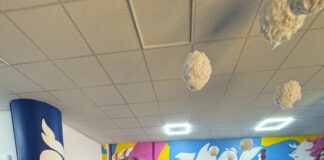 Proiectul ,,Gânduri despre Eminescu”, derulat de elevii de la Câlnic