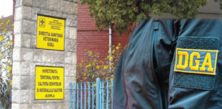 Angajări pe favoritisme colorate în galben, la o instituție din Gorj. DNA a intrat pe fir