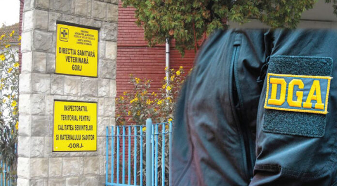 Angajări pe favoritisme colorate în galben, la o instituție din Gorj. DNA a intrat pe fir