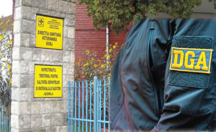 Angajări pe favoritisme colorate în galben, la o instituție din Gorj. DNA a intrat pe fir