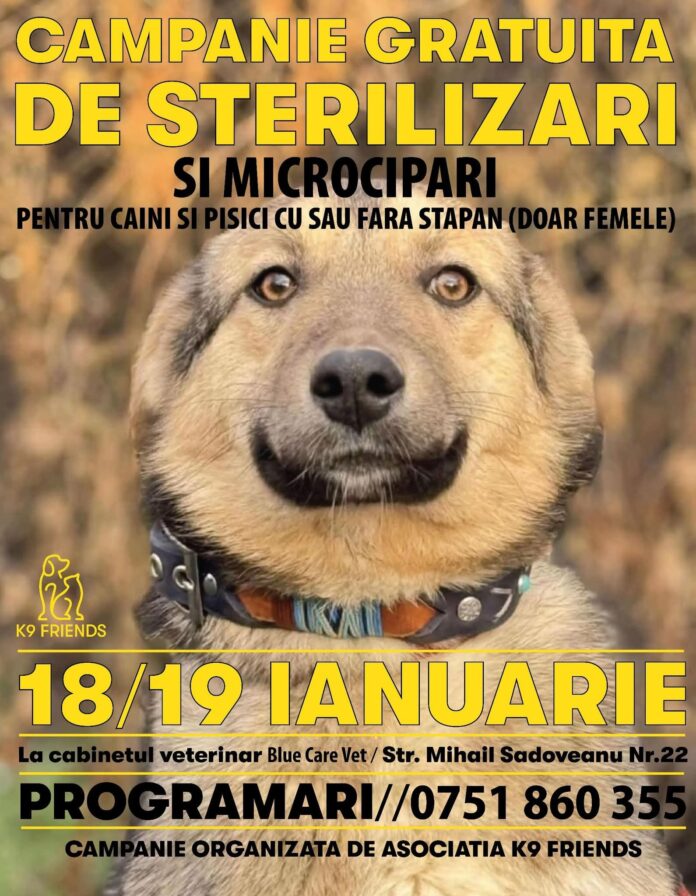 FB_IMG_1736439062862