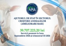 APIA: Bani pentru crescătorii de animale