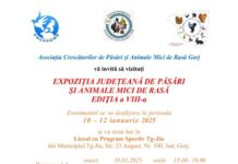 Expoziție de păsări și animale mici, la Târgu Jiu