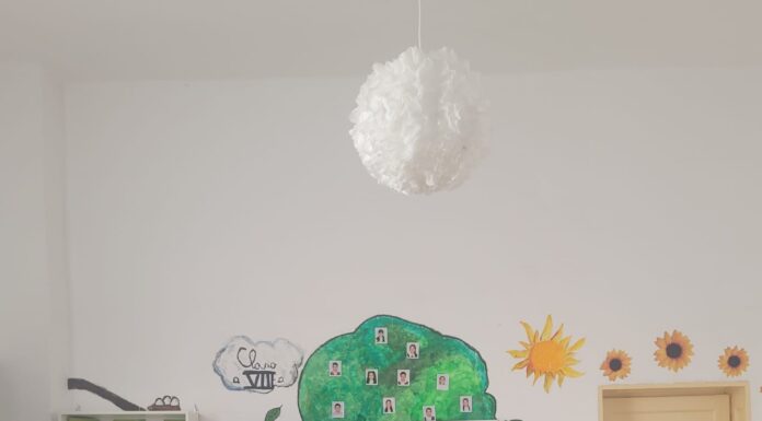 IPJ Gorj: Acțiuni de creștere a siguranței în școli