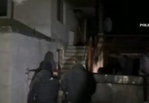 VIDEO: Percheziții în Târgu Jiu, Albeni și Cărbunești într-un dosar de trafic de droguri