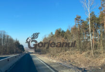 Defrișare, dar fără lărgirea drumului la Pișteștii din Deal!