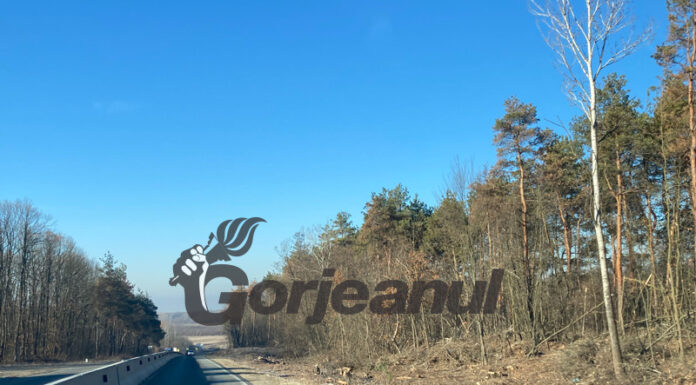 Defrișare, dar fără lărgirea drumului la Pișteștii din Deal!