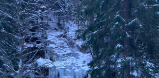VIDEO: Peisaje unice! Cascade înghețate în Cheile Jiețului!