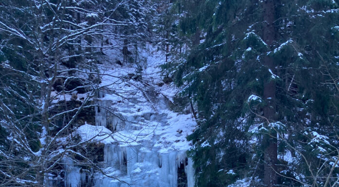 VIDEO: Peisaje unice! Cascade înghețate în Cheile Jiețului!