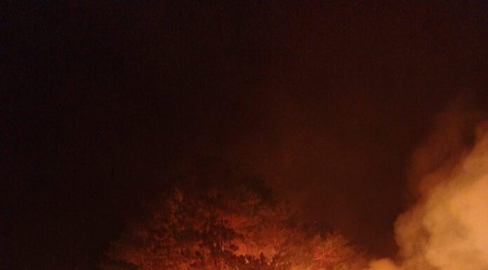 Foc uriaș în pădure, la Isverna!