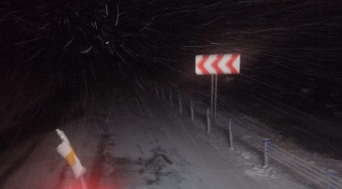 FOTO/VIDEO: Ninge mărunt la Rânca