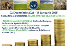 APIA: Stadiul autorizării plăților finale aferente anului de cerere 2024